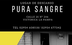 Pura Sangre Victorica